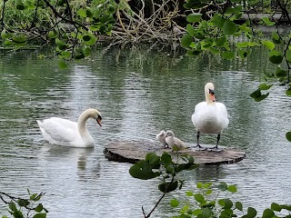 Waddon Ponds