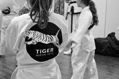 Tiger Martial Arts