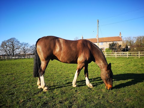 Hoofs and Hounds