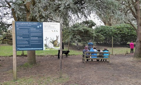 Leonardslee Wallaby Enclosure