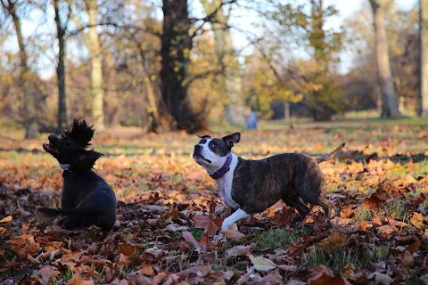 Agnes & Pavel