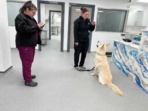 Cardiff Veterinary Centre