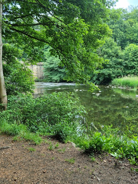 Almondell & Calderwood Country Park