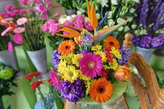 Albany Florists