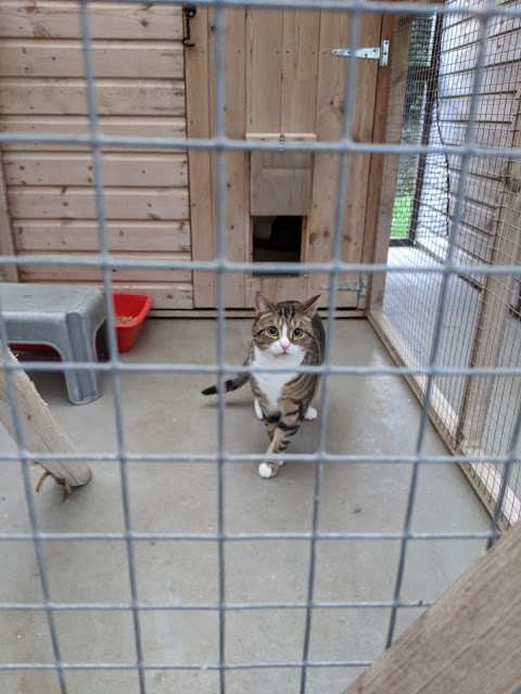 Cuckfield Cattery