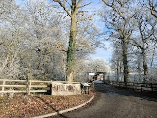 Birmingham Institute of Forest Research