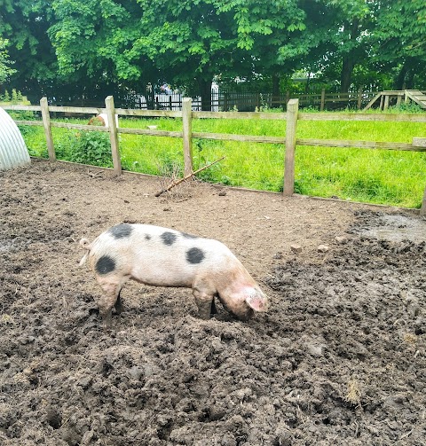 Windmill Hill City Farm