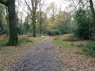 Clowes Wood Nature Reserve