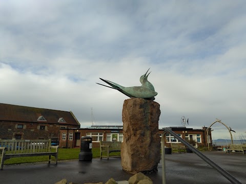 Scottish Seabird Centre