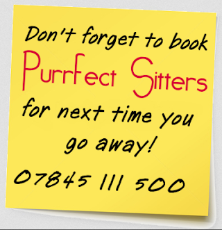 Purrfect Sitters Ltd