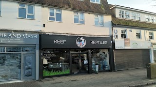 Epping Reef & Reptiles