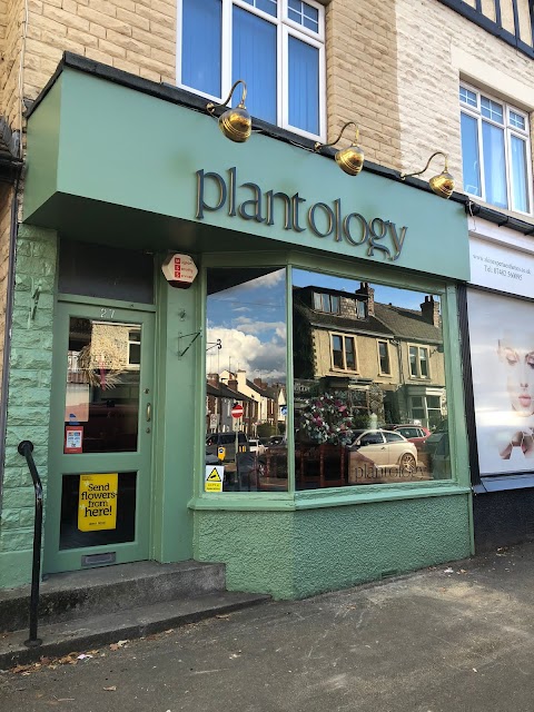 Plantology on the lane