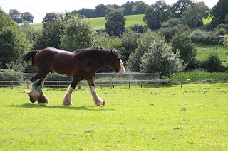 Cotebrook Shire Horse Centre