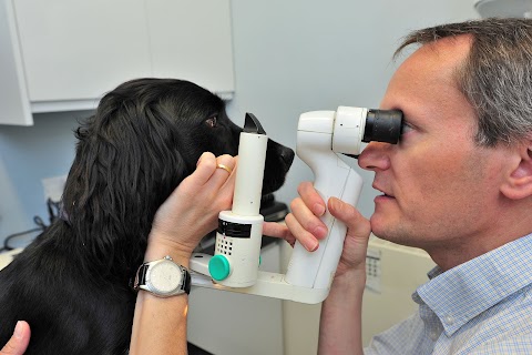 Severn Veterinary Centre, Tybridge House