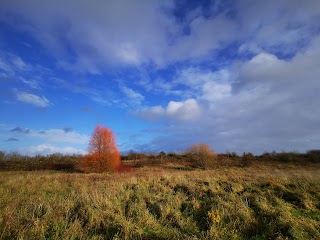 Three Brooks Local Nature Reserve