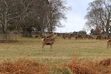 Bradgate Park (Newtown Linford Entrance)