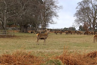 Bradgate Park (Newtown Linford Entrance)