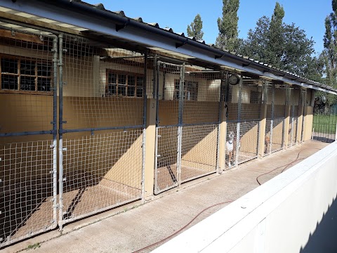 Willow Bottom Kennels