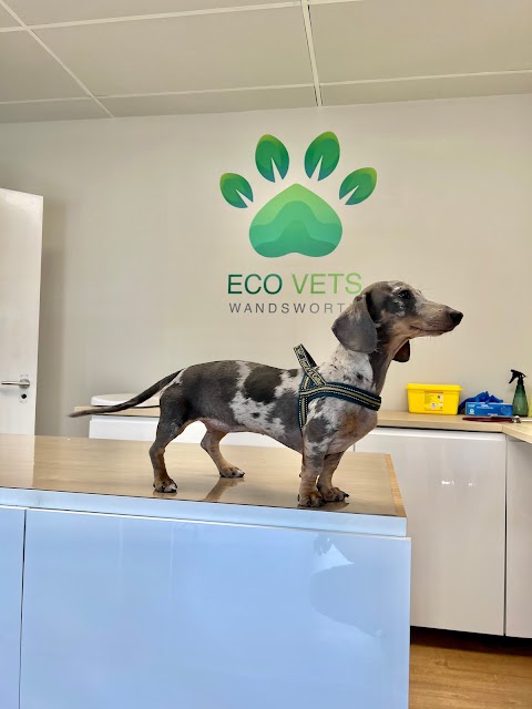 Eco Vets Wandsworth