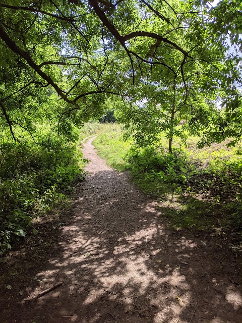 Caraway Drive Open Space