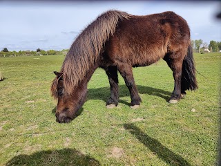 Hopefield Animal Sanctuary