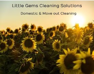 Little Gems Cleaning Solutions