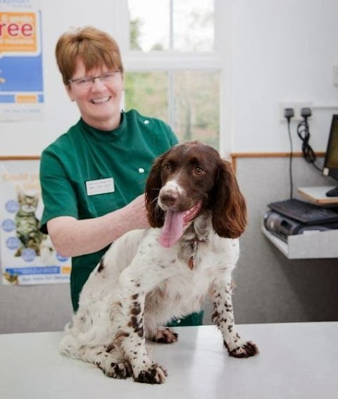 Cedar Grove & Ormeau Veterinary Clinic