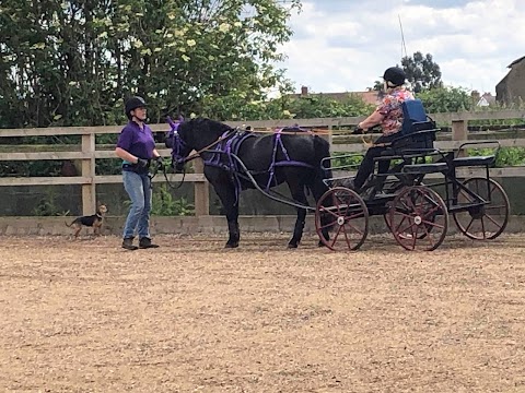 Plumtree School Of Equitation