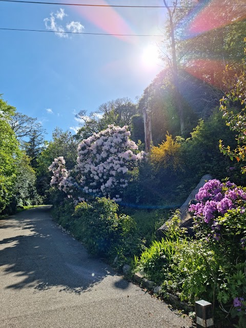 Falmouth University - Penryn Campus