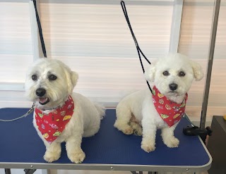 Munchkins Premier Dog Grooming