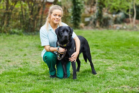 Best Friends Vet Group, Shenfield