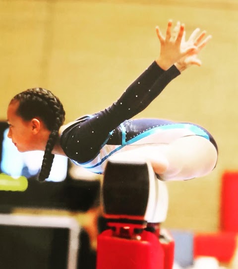 Sheffield Gymnastics Academy