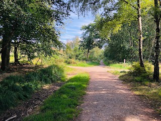 Creech Wood