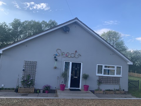 Seeds Childcare