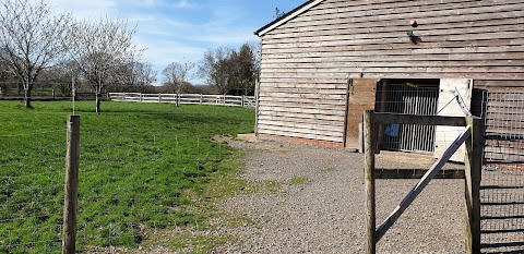 Copied Hall Kennels