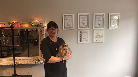 Boni dog and cat friendly grooming salon