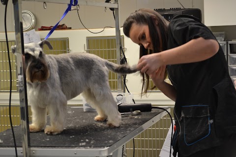 Anrich Dog Grooming School