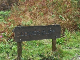 Cannock chase park water work