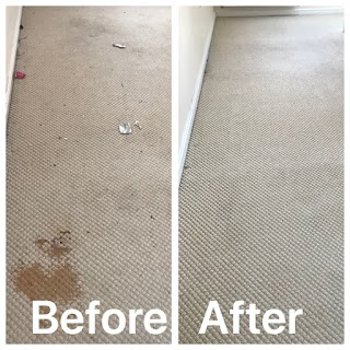 Specialist Carpet & Cleaning Services (SCCS-Stoke)