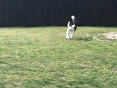 Burnedge Boarding Kennels & Cattery