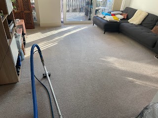 Gryffindor Carpet Cleaning