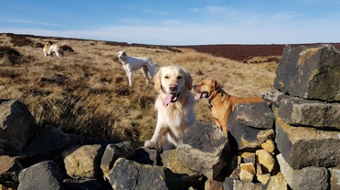 Hairy Hikers Sheffield