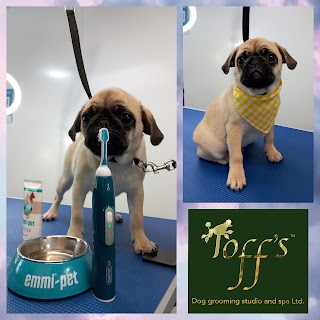 Toff's Dog Grooming Studio and Spa