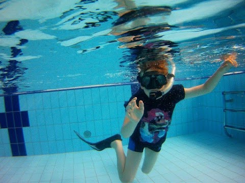 Scuba Diving in Hull