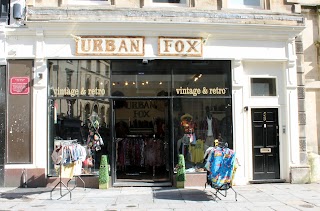 Urban Fox