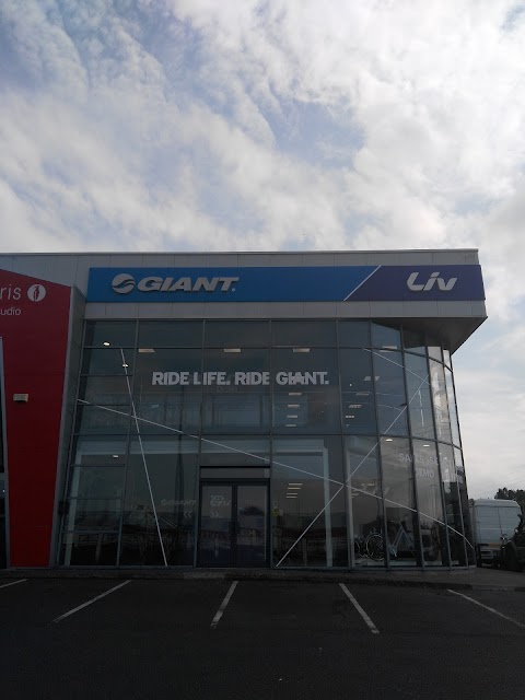 Giant Store Dublin