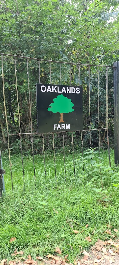 Haveringland Oaklands Farm Pool