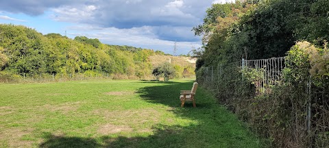 Hounds & Bounds Fido's Field