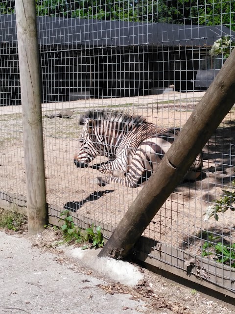 Marwell Zoo Science & Learning Centre