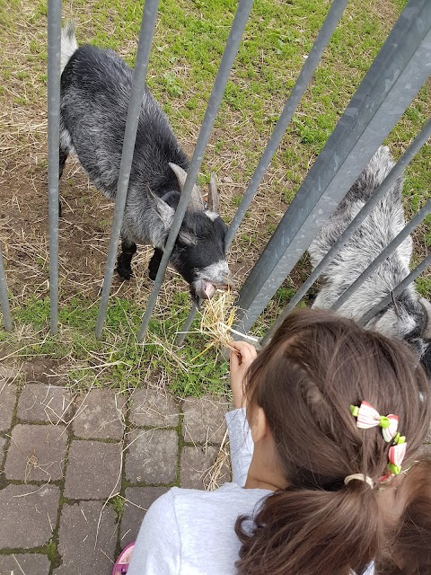 Balsall Heath City Farm